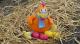 Manifestation Nids de Poules du 11 avril 2026